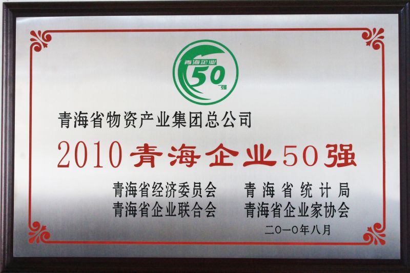 2010青海企業50強