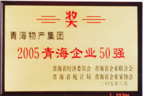 2005青海企業50強