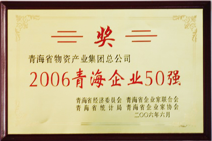 2006青海企業50強