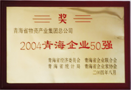 2004青海企業50強