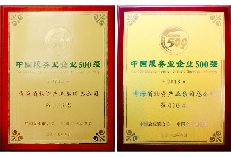 2013年度中國服務業企業500強